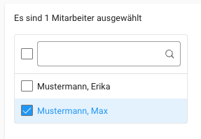Sammelbuchung - Mitarbeiterauswahl